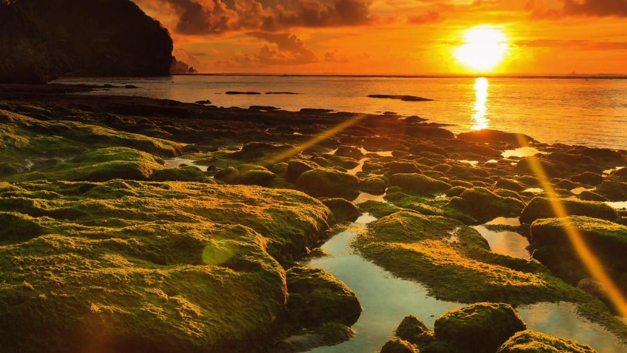 Bale Bingin Beachfront Stay Uluwatu Eksteriør bilde